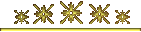 Sterne
